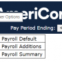 payroll_other_options.png